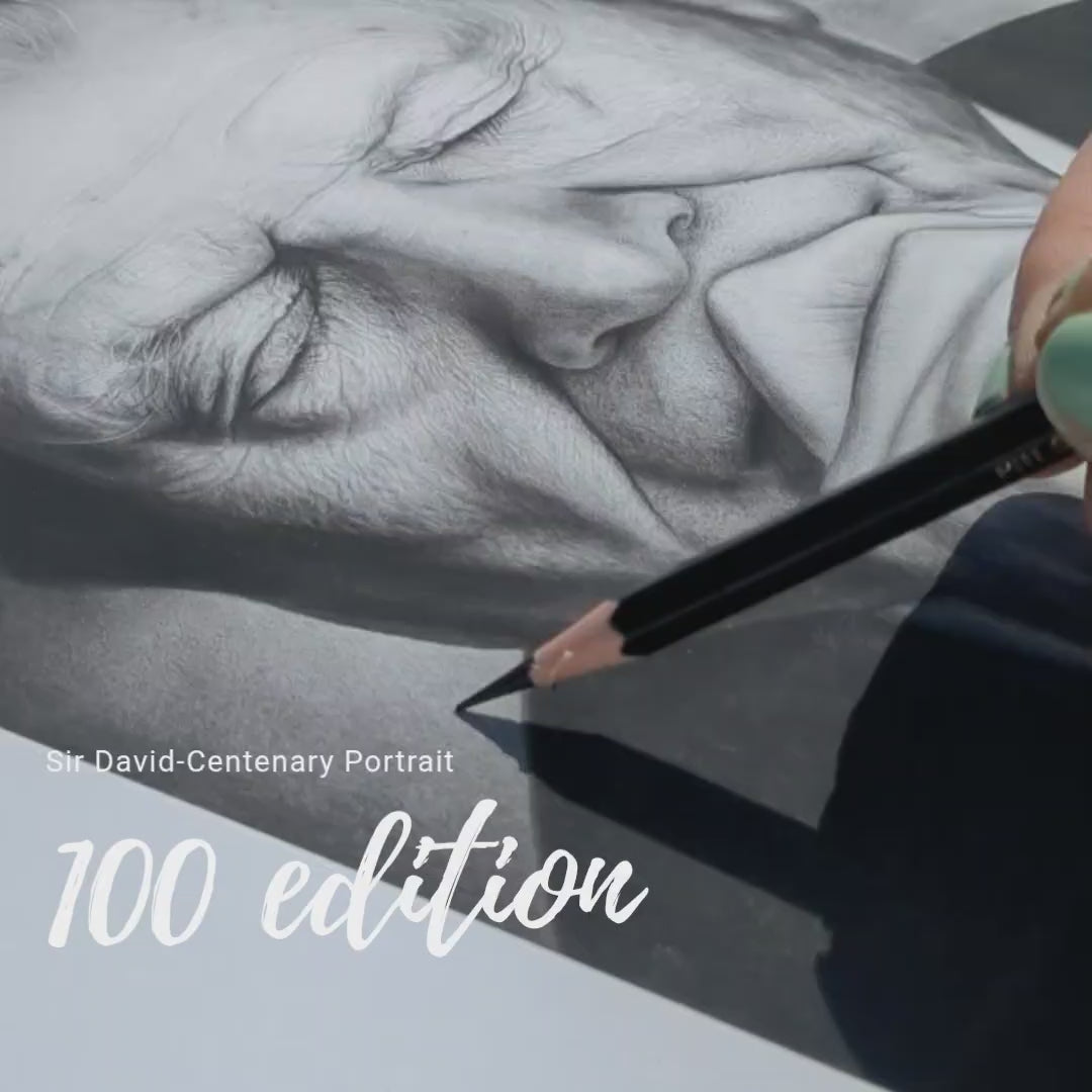 Sir David - Centenary Portrait