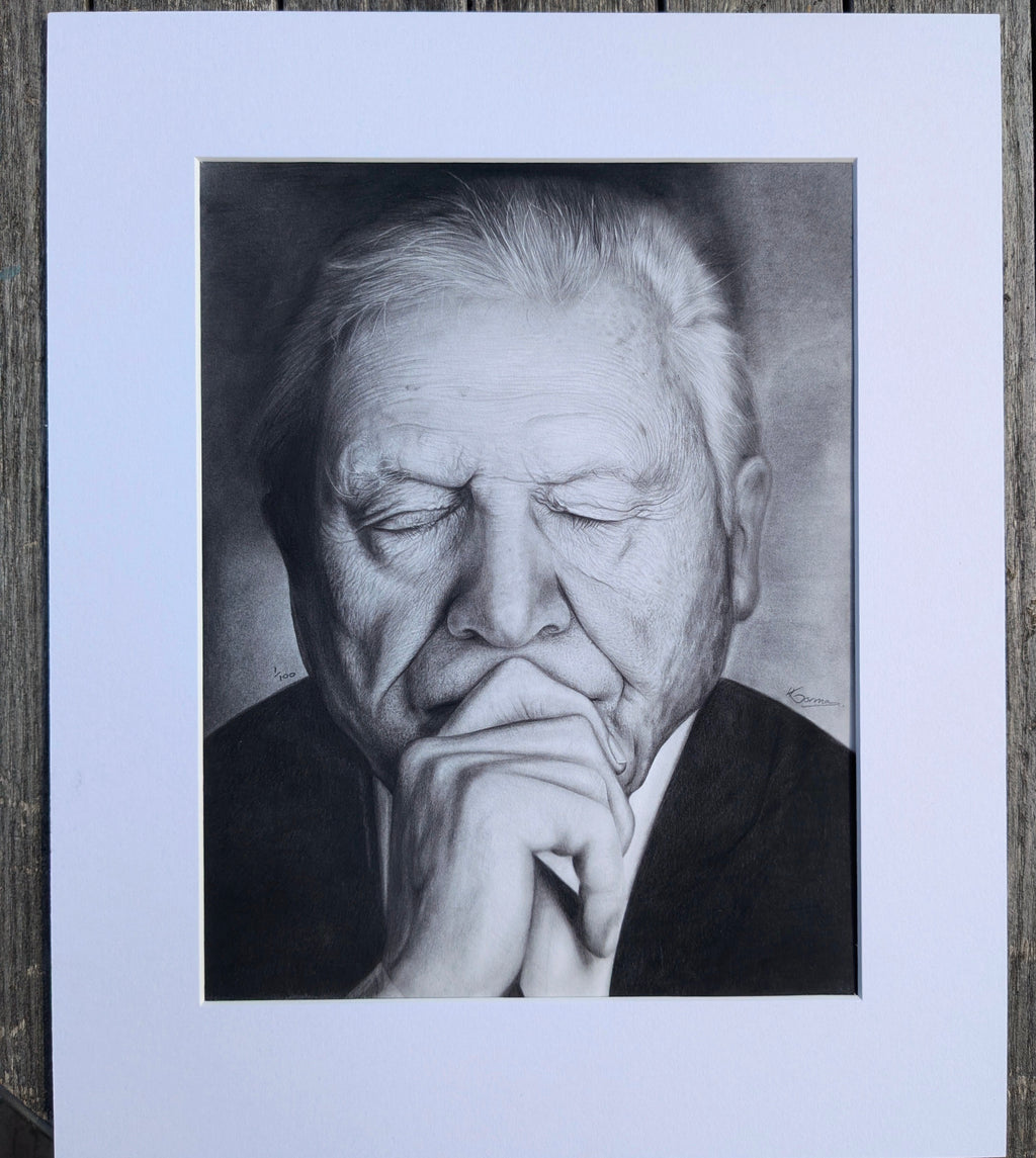 Sir David - Centenary Portrait