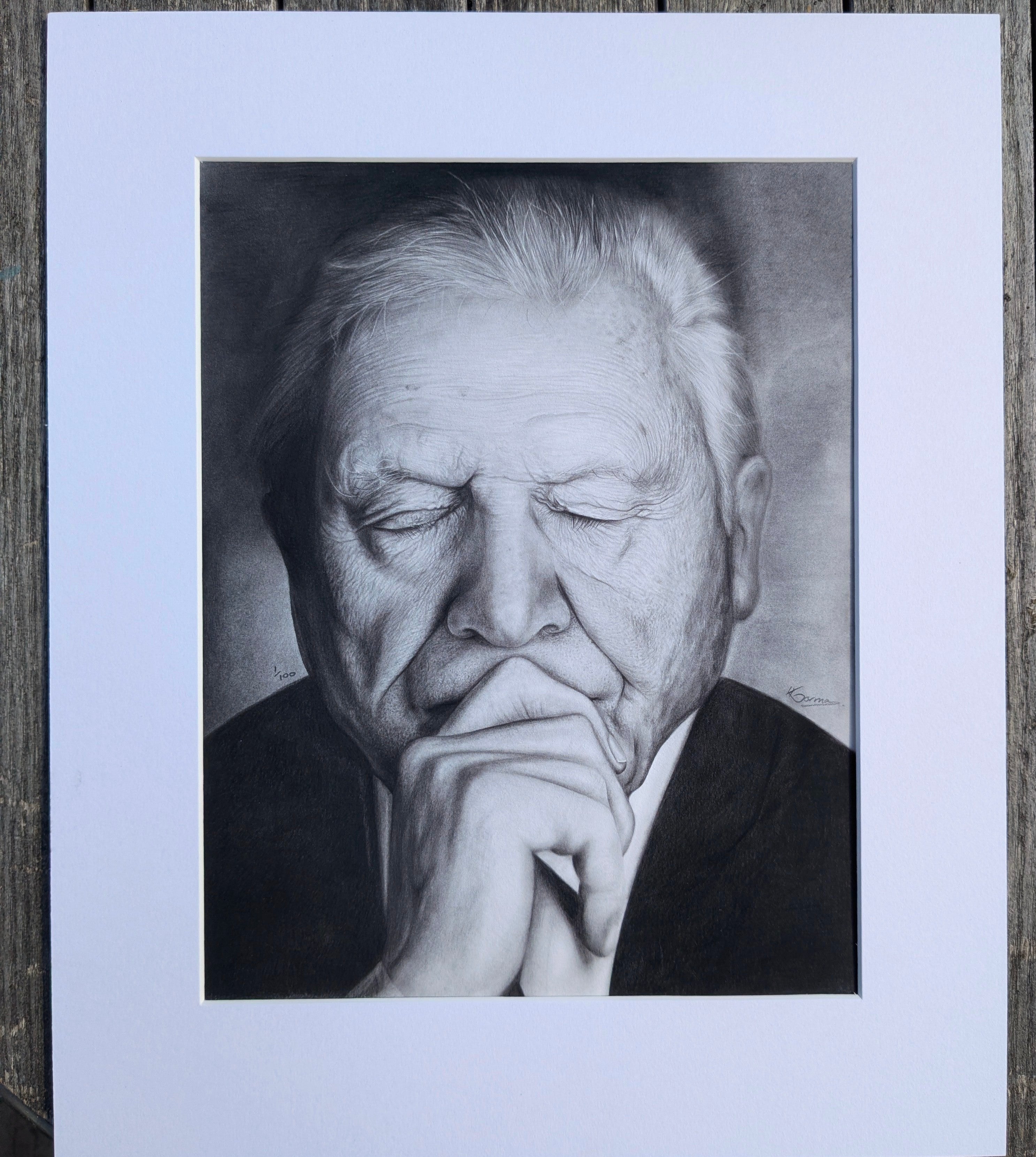 Sir David - Centenary Portrait